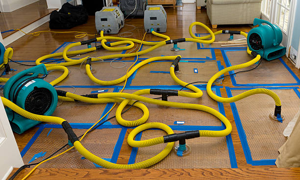 Professional Storm Water Damage Restoration technician working in Berkley, MI